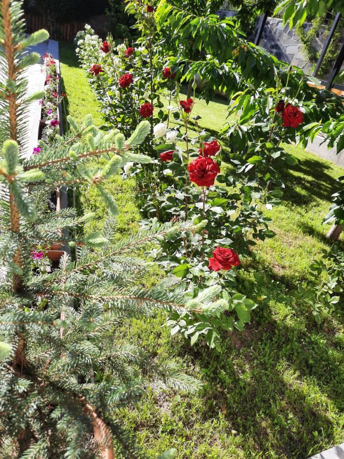 Cherry Garden Boutique Hotel Yeghegnadzor Εξωτερικό φωτογραφία