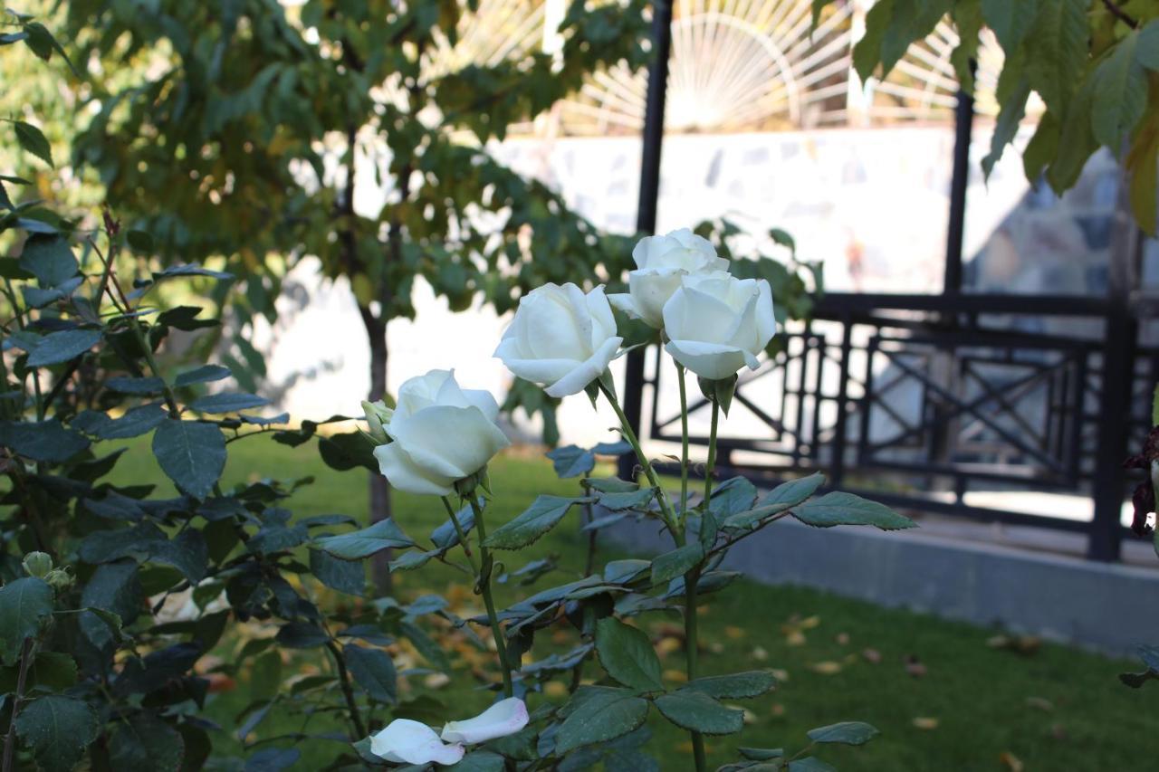 Cherry Garden Boutique Hotel Yeghegnadzor Εξωτερικό φωτογραφία